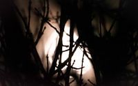 Wachsender Mond
