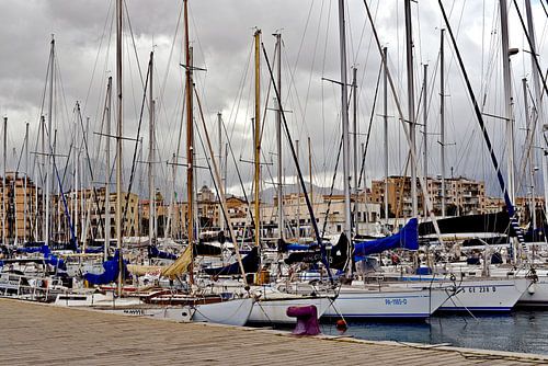 La Cala - de oude haven van Palermo