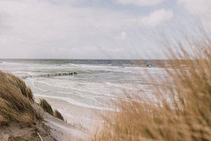 Der Strand von Ameland von Roanna Fotografie