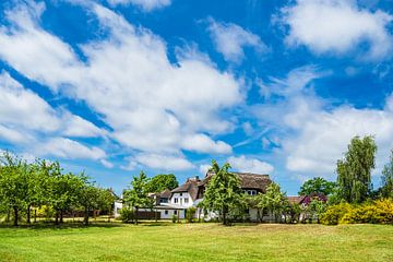 Buildings with trees and blue sky