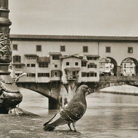 Ponte Vecchio Florenz von Ron van der Stappen