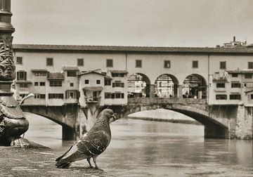 Ponte Vecchio Florenz