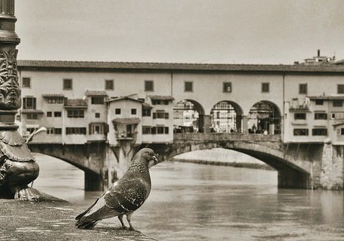 Ponte Vecchio Florence