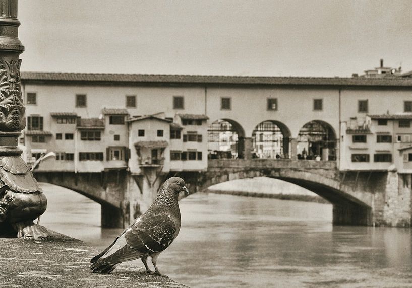 Ponte Vecchio Florenz von Ron van der Stappen