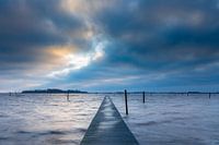 Vue de l'île aux oiseaux dans le lac noir