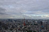 Tokyo Skyline von Wessel Smit Miniaturansicht