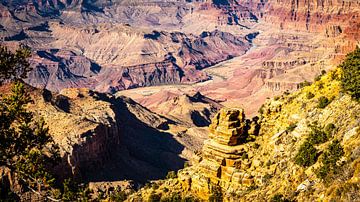 Natural Wonder Gorge en Colorado River Grand Canyon National Park in Arizona USA van Dieter Walther