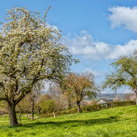 Lente in Zuid-Limburg van John Kreukniet