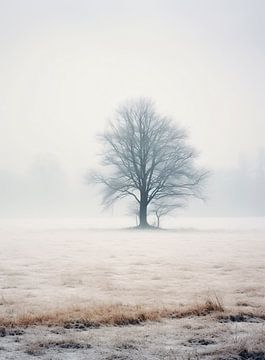 Winter im Nebel