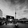 Berlin Alexanderplatz sur Frank Herrmann