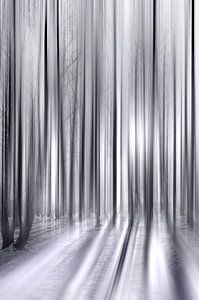 Winterwald