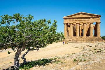 Temple of Concordia, Valley of Temples, Sicily by Jan Fritz