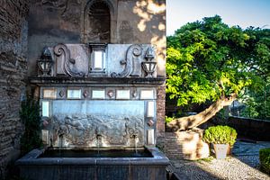 Fontaine mauresque de l'Alhambra avec arbre