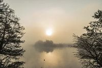 The Netherlands