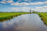 Charakteristische niederländische Polderlandschaft mit Mühle von Ruud Morijn Miniaturansicht
