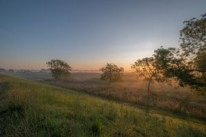 Dans les plaines inondables sur Moetwil en van Dijk - Fotografie