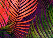 COLORFUL TROPICAL LEAVES no5  van Pia Schneider thumbnail