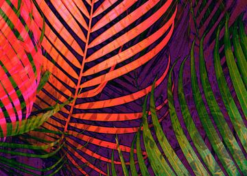 COLORFUL TROPICAL LEAVES no5  by Pia Schneider