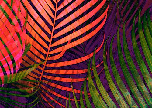 COLORFUL TROPICAL LEAVES no5 