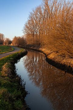 Gouden avondlicht, Berlare, België van Imladris Images