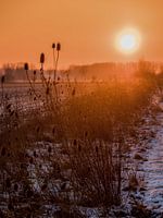 Winterse zonsopgang in de velden van Zeeland, Nederland