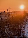Winterse zonsopgang in de velden van Zeeland, Nederland van Cynthia Bil thumbnail