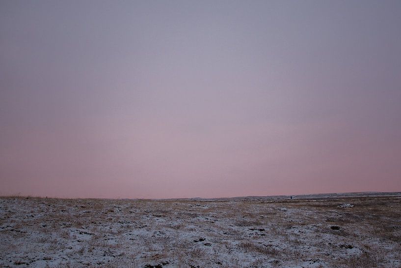 lilac sky by Nicoline Rodenburg