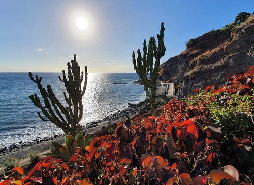 Madeira #23
