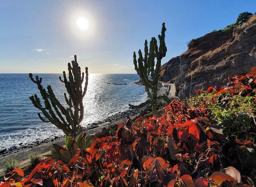 Madeira #23 by zam art