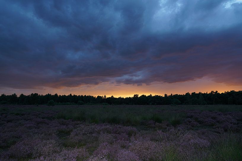Paysage de bruyère avec coucher de soleil et ciel violet par Herman Peters