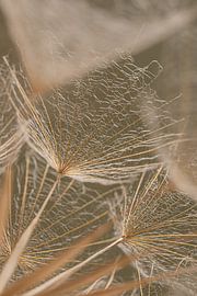 Ein Blick aufs Land: Durch die Flusen hindurch auf eine Fluse blicken von Marjolijn van den Berg