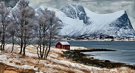 Lofoten Fjord in winter