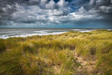 De kustlijn met de Noordzee en de duinen van eric van der eijk