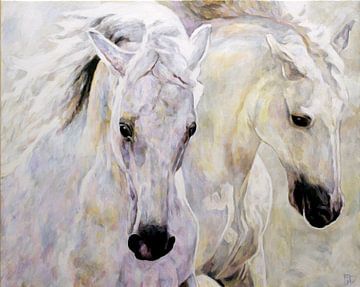 Witte paarden, kunstdruk van origineel schilderij van JOARTCOLOGNE