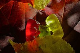 Gummi Bear Cuddle Time by Ingo Laue
