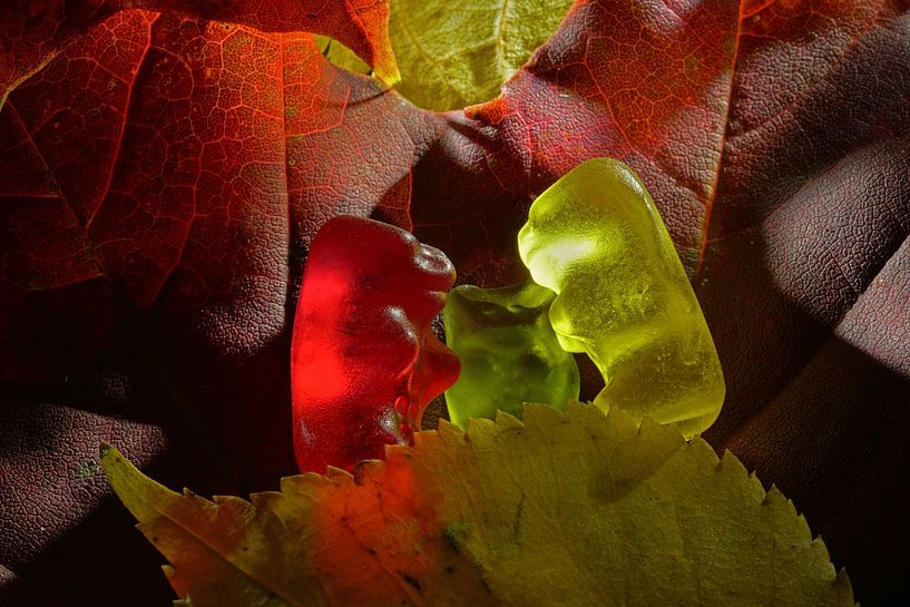 Gummiberen knuffeltijd van Ingo Laue