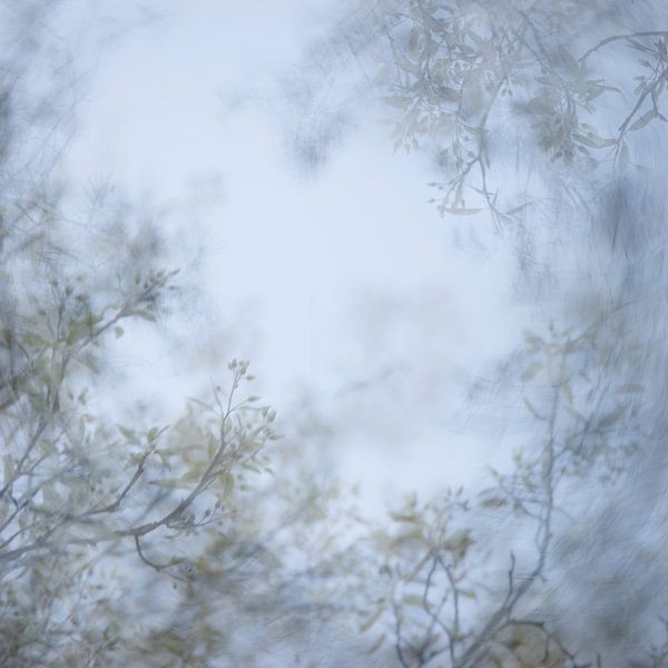 Open, lucht! von Paula Anglès