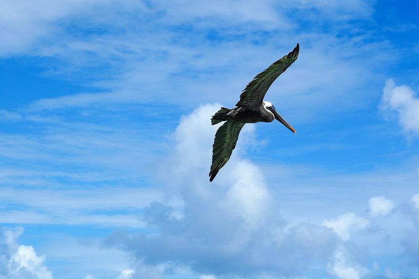 Caribbean paradise: turquoise blue sea, white beaches and tropical lightness in colourful pictures. by Miriam Schwarzfischer Fotografie