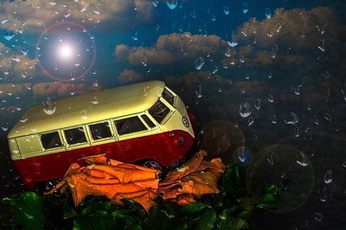 Regenachtige zomerdag