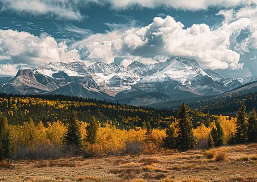 Berg silhouetten tegen het licht