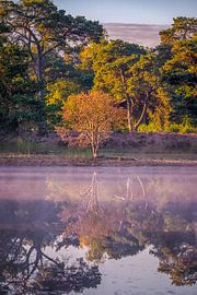 Day breaks on the Strijbeekse Heide by Leon Okkenburg