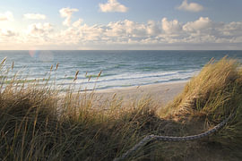 Une brise sur la plage – Vue à travers les herbes des dunes – Photographie sur Nordlicht Atelier
