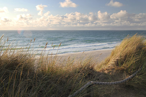 A breeze on the beach – a view through the dune grass – photography
