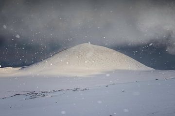 Ein Sturm ist im Anmarsch