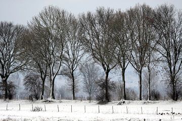 Nederlandse winter
