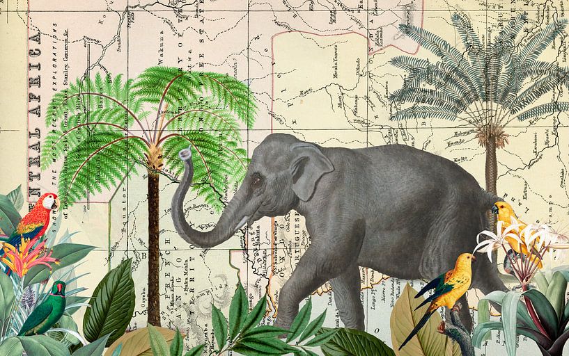Elefant in Afrika von Andrea Haase