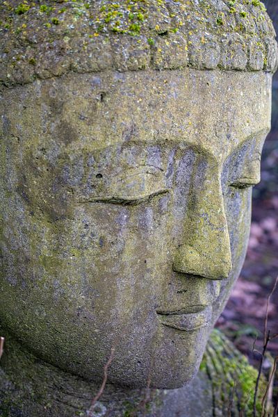 Buddha face by Bettina Schnittert
