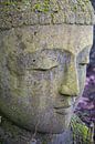 Buddha face by Bettina Schnittert thumbnail
