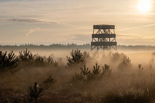 Brouillard à la tour de guet de l'Aekingerzand
