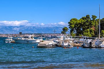 Kroatië : Eiland Ugljan - Preko